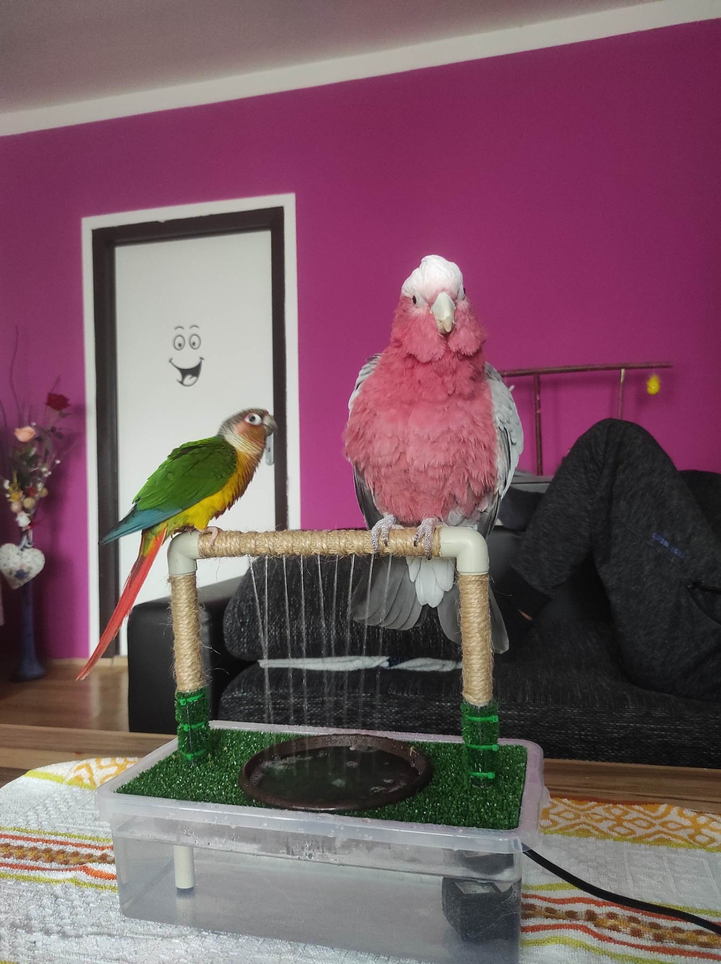 Sprcha základní M v zatěžkávací zkoušce