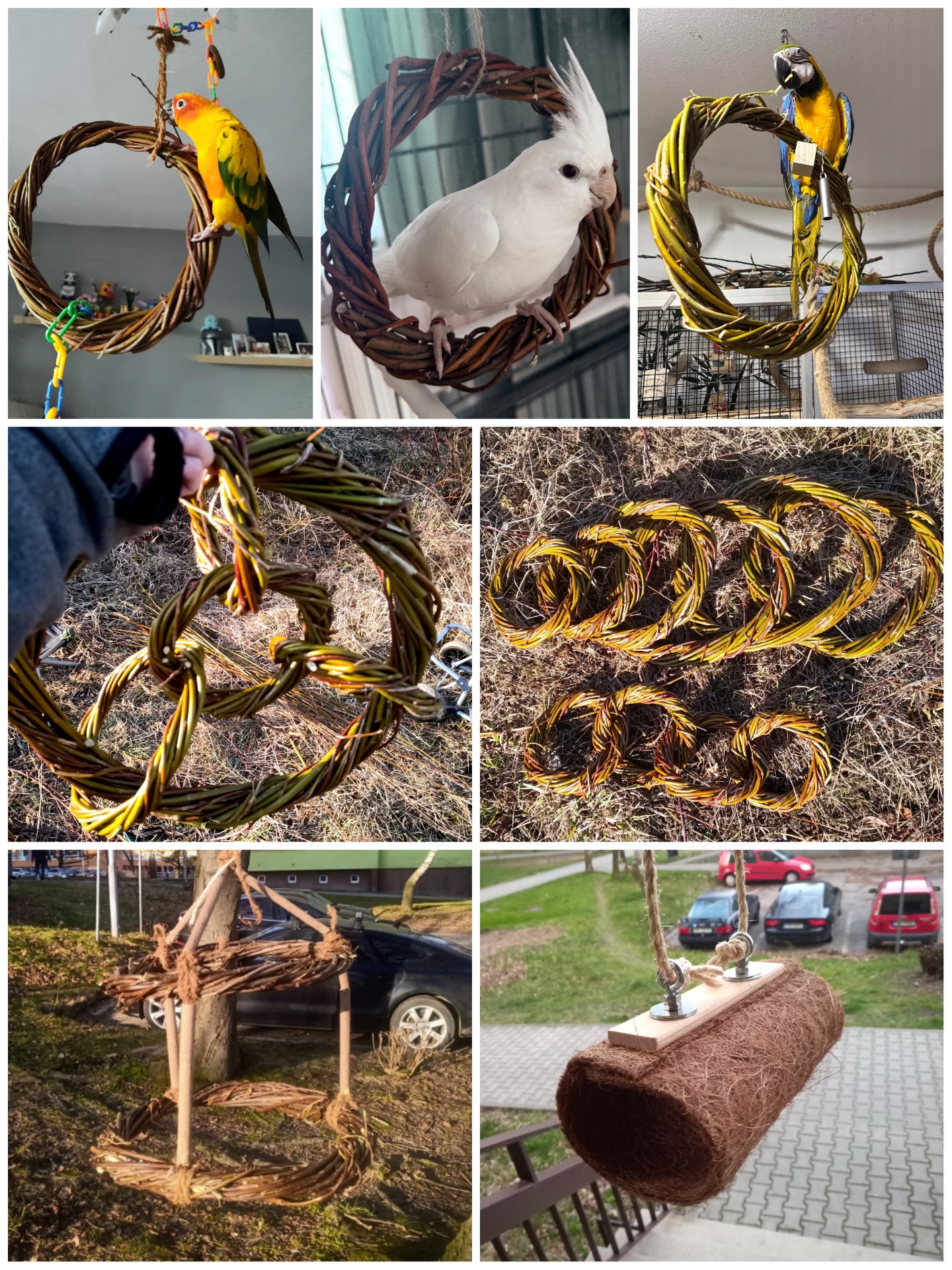 Vrbové kruhy a další ptákoviny 